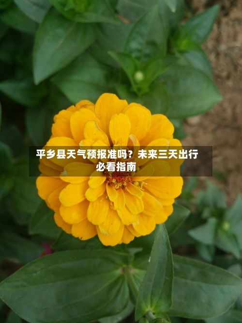  平乡县天气预报准吗？未来三天出行必看指南