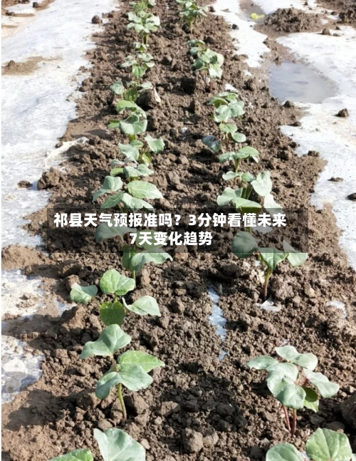 祁县天气预报准吗？3分钟看懂未来7天变化趋势