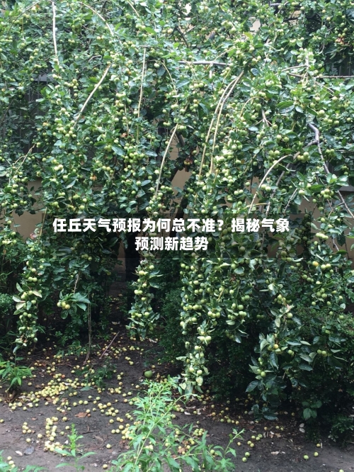  任丘天气预报为何总不准？揭秘气象预测新趋势  