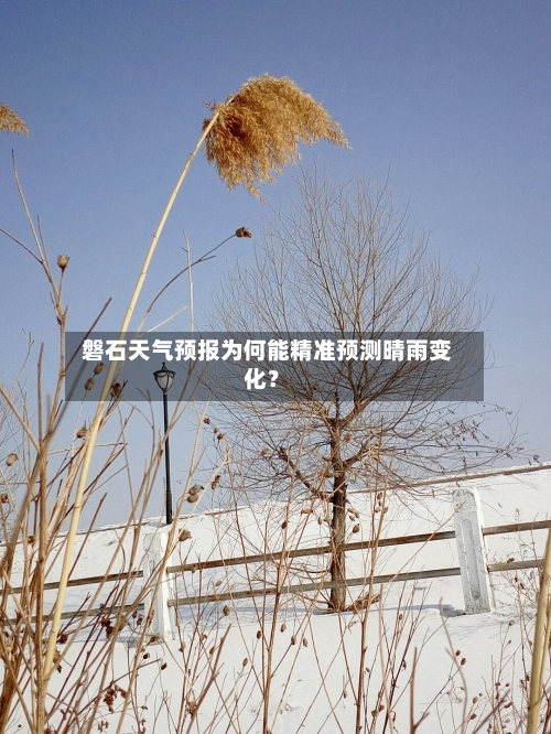  磐石天气预报为何能精准预测晴雨变化？  