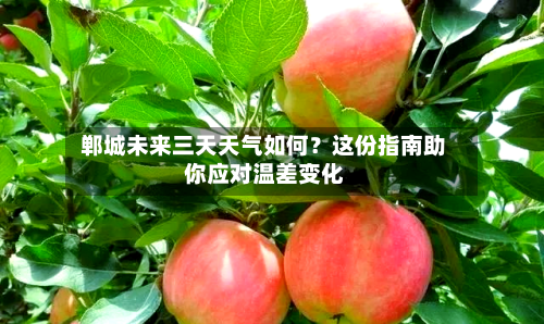  郸城未来三天天气如何？这份指南助你应对温差变化  