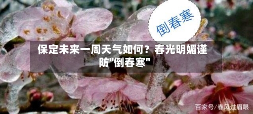  保定未来一周天气如何？春光明媚谨防"倒春寒"