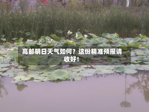  高邮明日天气如何？这份精准预报请收好！