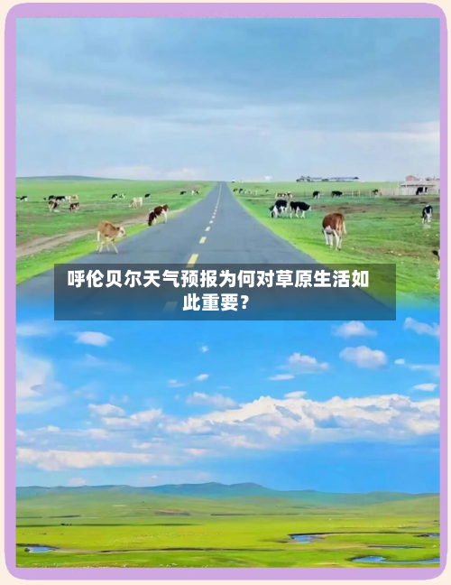  呼伦贝尔天气预报为何对草原生活如此重要？