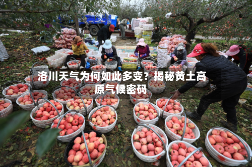  洛川天气为何如此多变？揭秘黄土高原气候密码