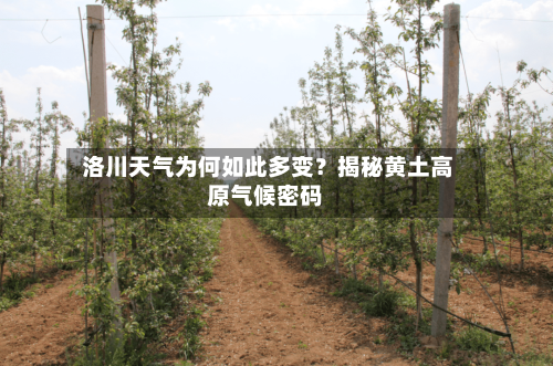  洛川天气为何如此多变？揭秘黄土高原气候密码