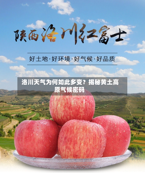 洛川天气为何如此多变？揭秘黄土高原气候密码
