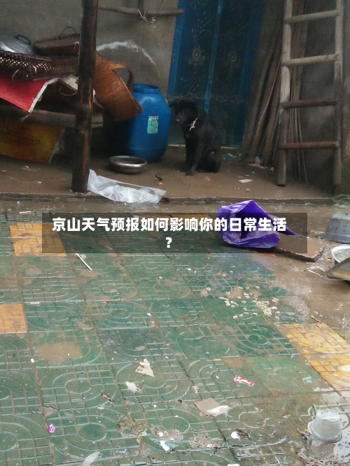  京山天气预报如何影响你的日常生活？