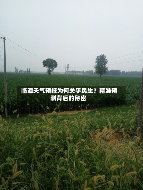  临漳天气预报为何关乎民生？精准预测背后的秘密