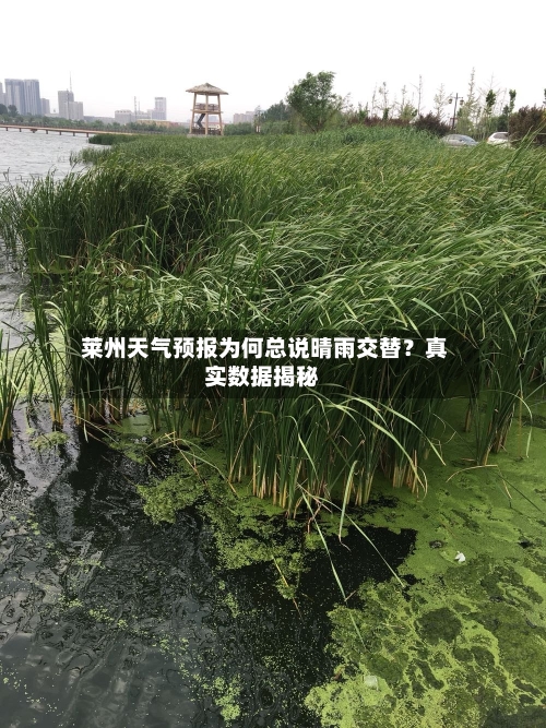  莱州天气预报为何总说晴雨交替？真实数据揭秘