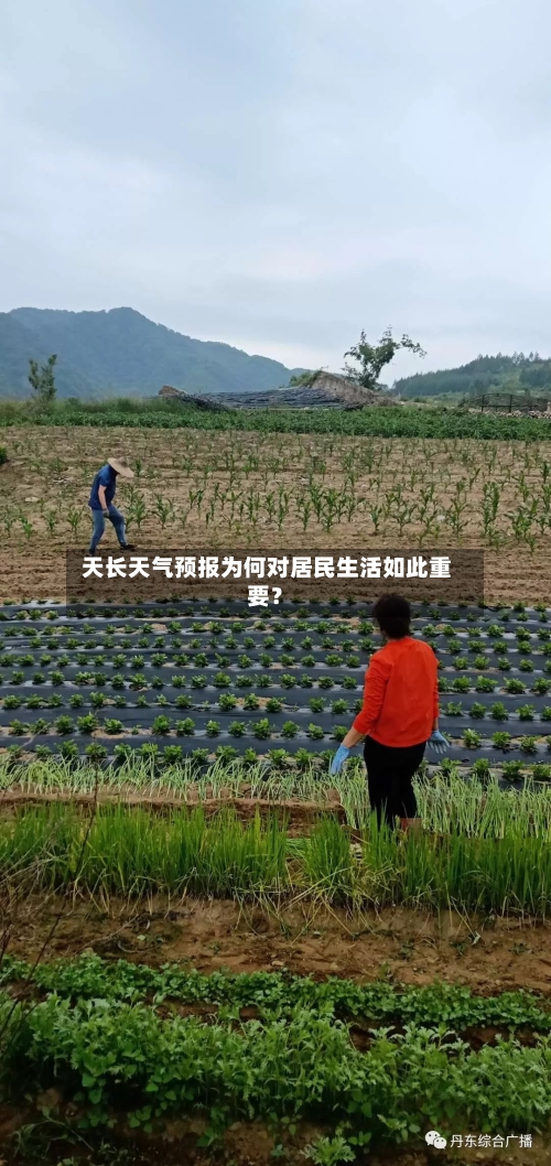  天长天气预报为何对居民生活如此重要？
