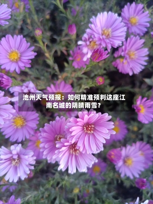  池州天气预报：如何精准预判这座江南名城的阴晴雨雪？