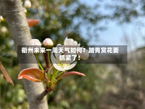  衢州未来一周天气如何？踏青赏花要抓紧了！