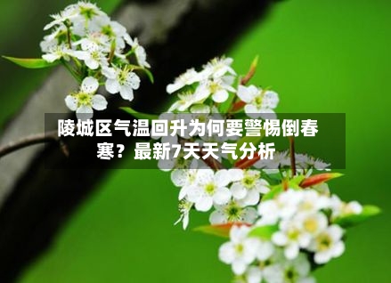  陵城区气温回升为何要警惕倒春寒？最新7天天气分析