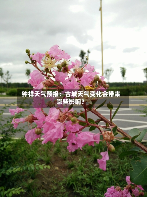  钟祥天气预报：古城天气变化会带来哪些影响？