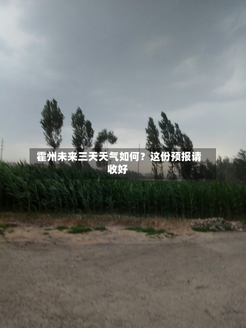  霍州未来三天天气如何？这份预报请收好