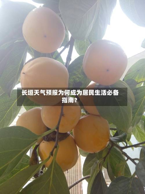  长垣天气预报为何成为居民生活必备指南？