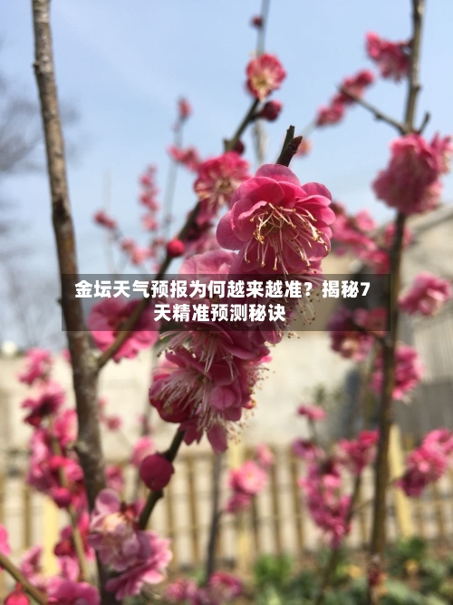  金坛天气预报为何越来越准？揭秘7天精准预测秘诀  