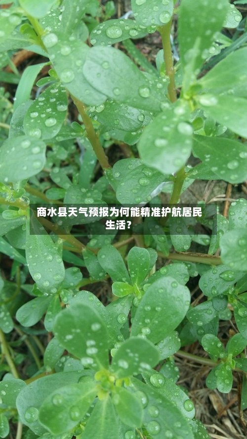  商水县天气预报为何能精准护航居民生活？