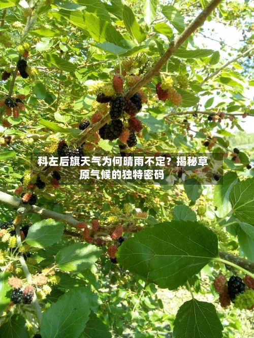  科左后旗天气为何晴雨不定？揭秘草原气候的独特密码