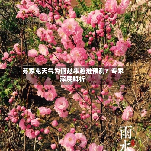  苏家屯天气为何越来越难预测？专家深度解析