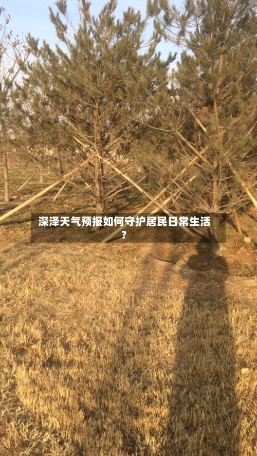  深泽天气预报如何守护居民日常生活？