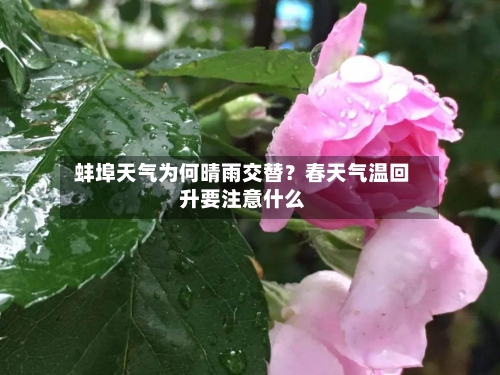  蚌埠天气为何晴雨交替？春天气温回升要注意什么  