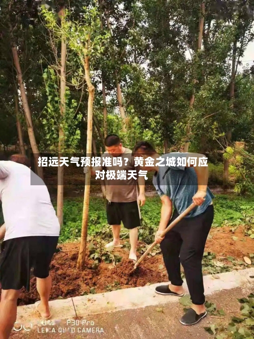  招远天气预报准吗？黄金之城如何应对极端天气
