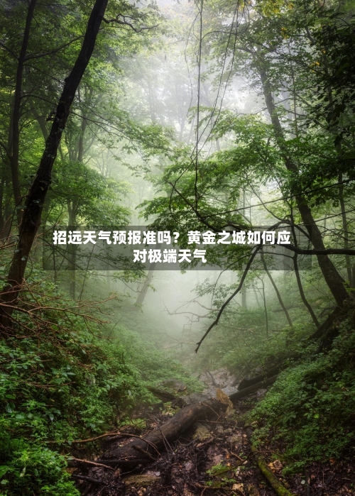  招远天气预报准吗？黄金之城如何应对极端天气