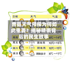  曹县天气预报为何如此重要？揭秘晴雨背后的民生故事