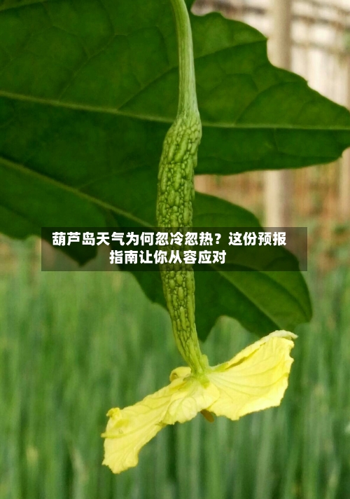  葫芦岛天气为何忽冷忽热？这份预报指南让你从容应对