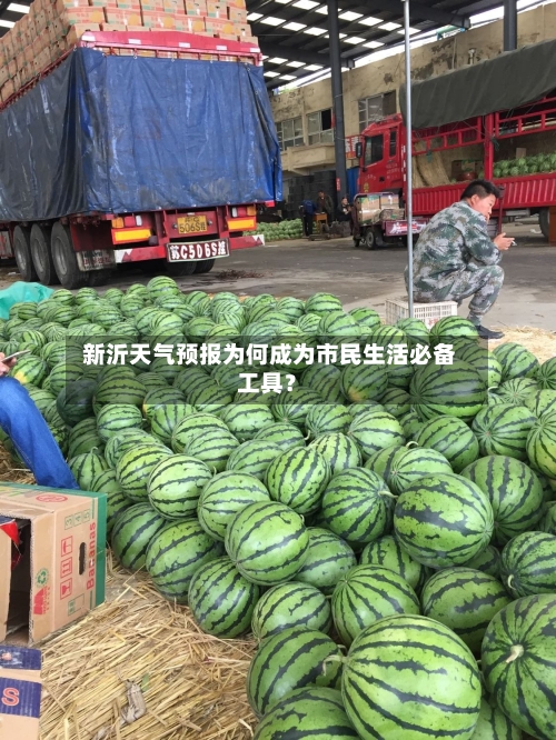  新沂天气预报为何成为市民生活必备工具？