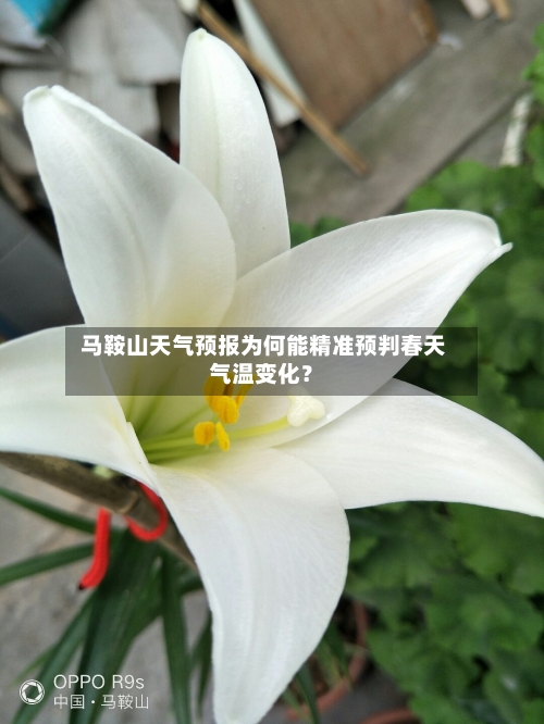  马鞍山天气预报为何能精准预判春天气温变化？