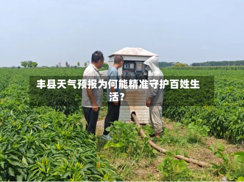  丰县天气预报为何能精准守护百姓生活？