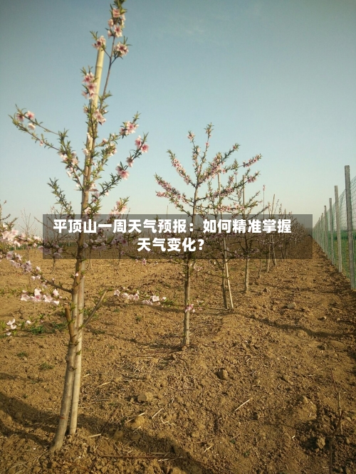  平顶山一周天气预报：如何精准掌握天气变化？