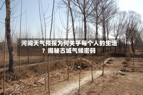  河间天气预报为何关乎每个人的生活？揭秘古城气候密码