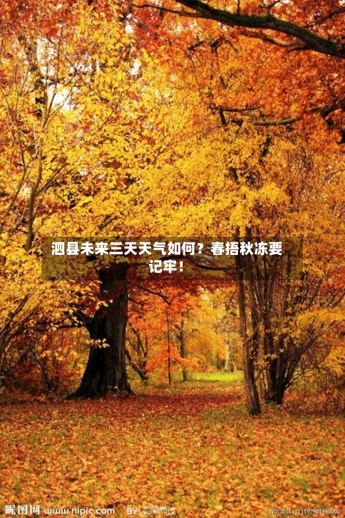  泗县未来三天天气如何？春捂秋冻要记牢！