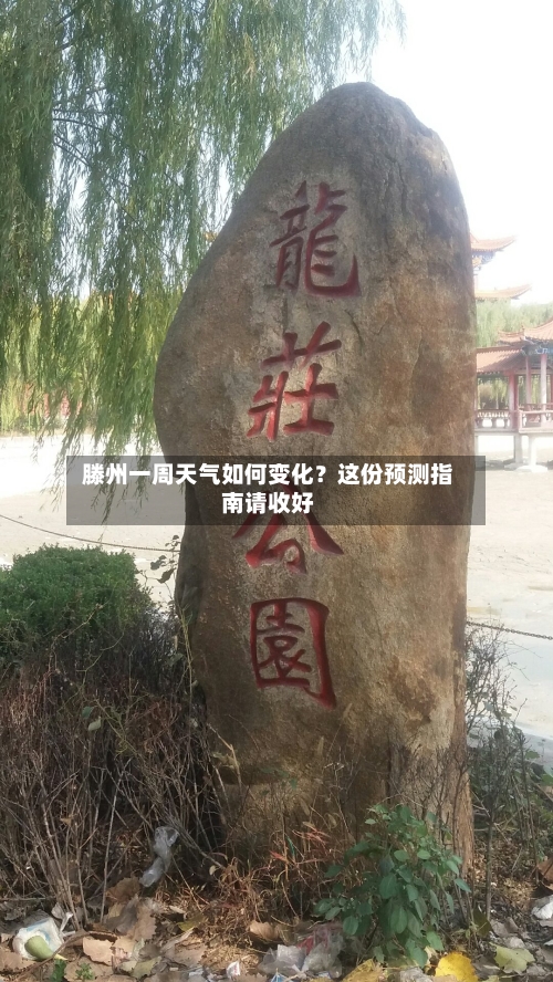  滕州一周天气如何变化？这份预测指南请收好  