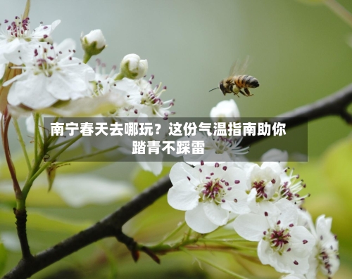 南宁春天去哪玩？这份气温指南助你踏青不踩雷