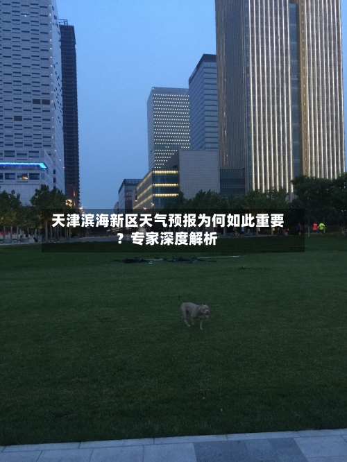  天津滨海新区天气预报为何如此重要？专家深度解析