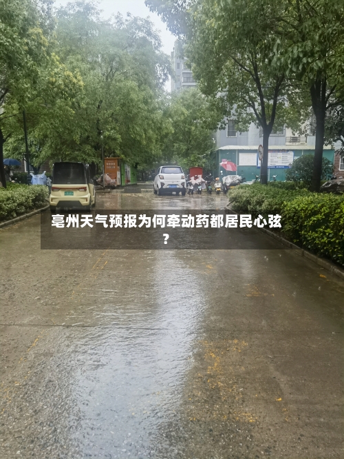  亳州天气预报为何牵动药都居民心弦？