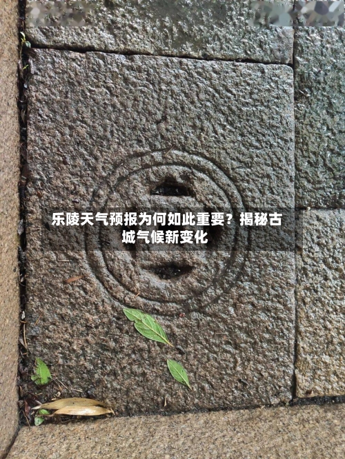  乐陵天气预报为何如此重要？揭秘古城气候新变化