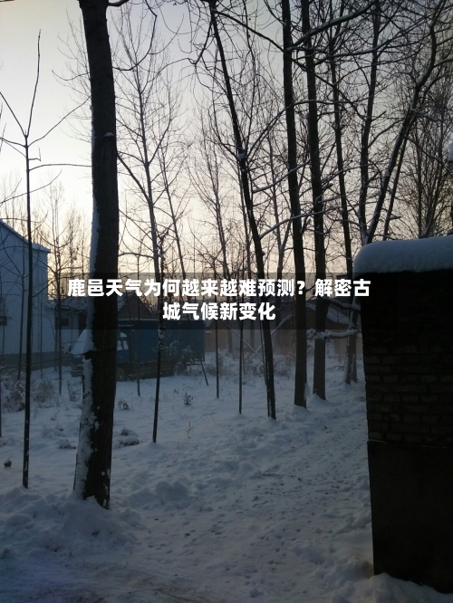 鹿邑天气为何越来越难预测？解密古城气候新变化  