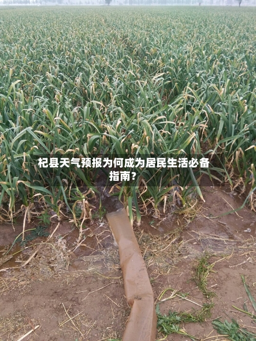  杞县天气预报为何成为居民生活必备指南？