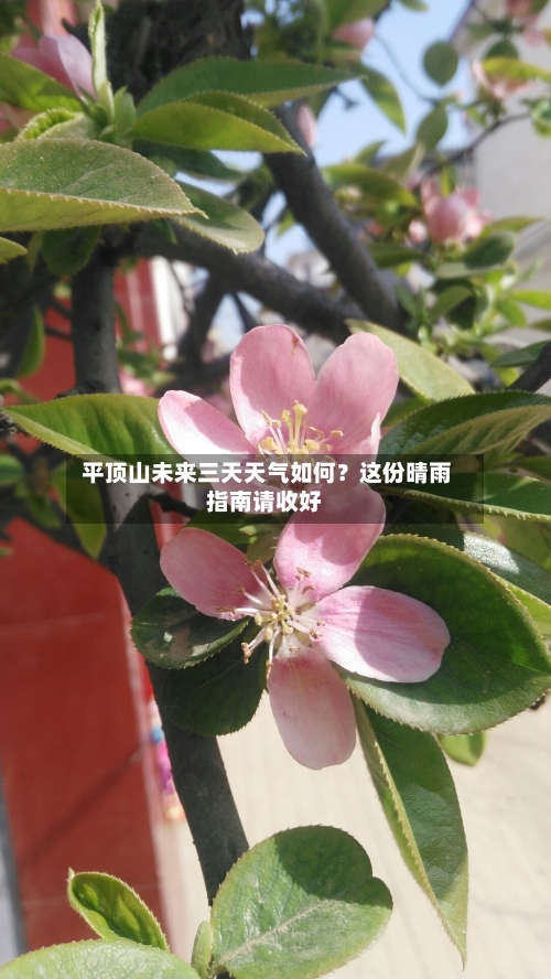  平顶山未来三天天气如何？这份晴雨指南请收好