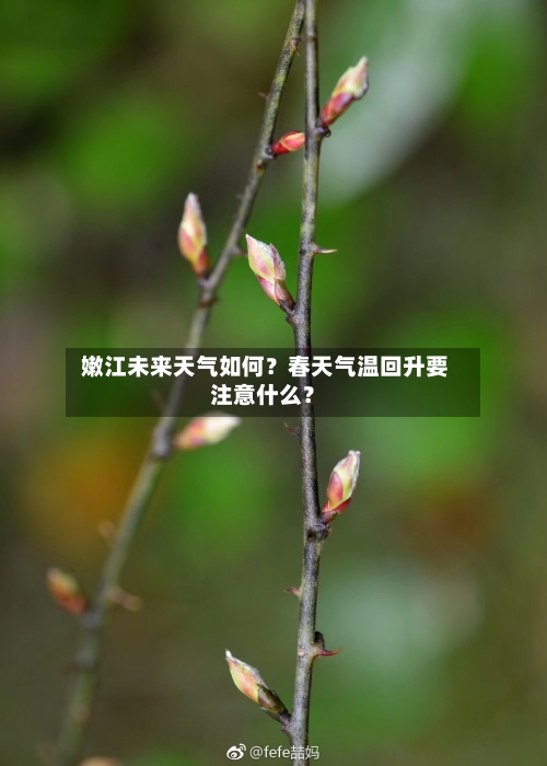  嫩江未来天气如何？春天气温回升要注意什么？