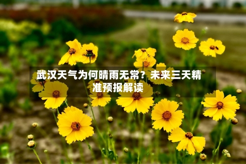 武汉天气为何晴雨无常？未来三天精准预报解读