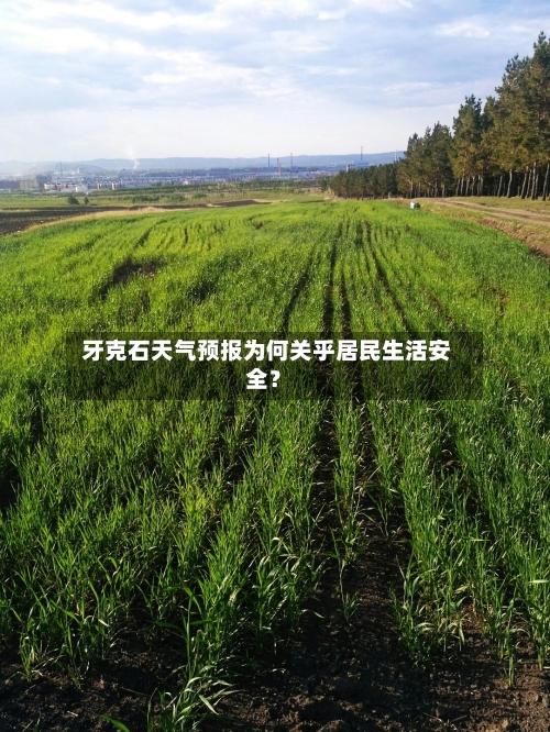  牙克石天气预报为何关乎居民生活安全？