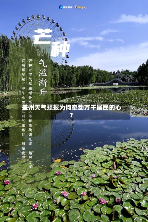  盖州天气预报为何牵动万千居民的心？