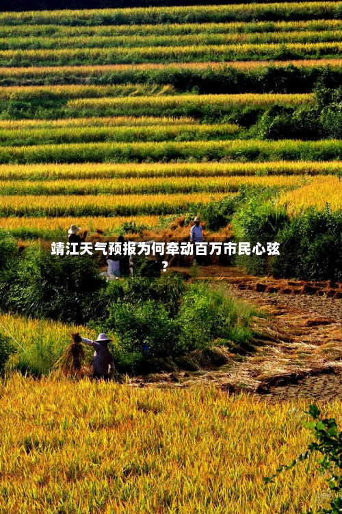  靖江天气预报为何牵动百万市民心弦？